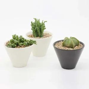 인테리어 반려식물 다육이 분갈이 넓은 도자기 화분키트 미니 키우기쉬운 키우기 집에서키우기쉬운 고급 이