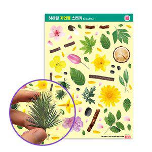 [기타]자연물 스티커 - 봄
