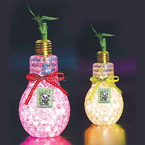 전구병 LED 개운죽 키우기(5명1세트)