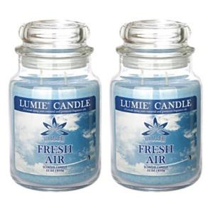 르미에 630g 기본형 라지자 캔들_후레쉬에어2개