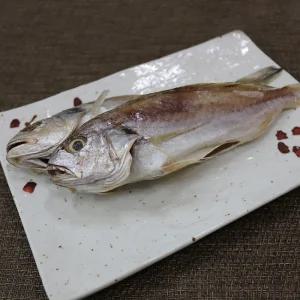 통영 반건조 백 조기 굴비 1kg 6-8미 백굴비 반 건조 조기 보구치 통영조기 손질조기 말린조기 제수용조기