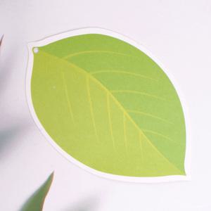 [ 사과나뭇잎카드 ] 애플데이 감사카드 친구사랑주간 학급학교 단체행사 사과나무만들기