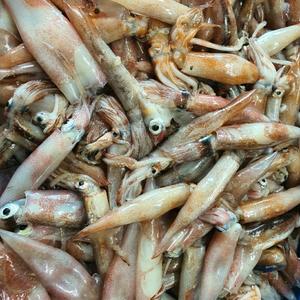 자연산 생물 급냉 총알한치 1kg(30~50미 내외) 500g 2팩