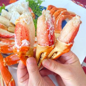 러시아 프리미엄 절단대게 수율보장 냉동 자숙 대게 다리섹션 1kg (7~9다리)