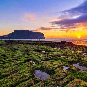 제주도 여름휴가 4박5일 자유일정1일 관광 패키지