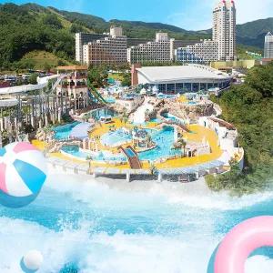 [특가] 평창 휘닉스파크 블루캐니언 워터파크 종일권 (~12/31)