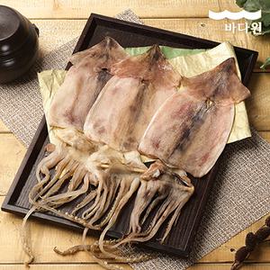 [바다원] 국내산 동해안 반건조 피데기 오징어 10미 1kg 중사이즈