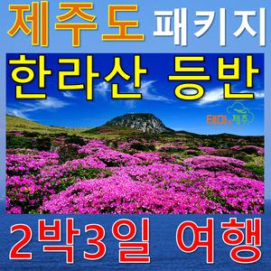 한라산 등반포함/제주도 패키지여행/2박3일 항공권+숙소+여행+식사 포함