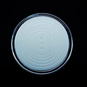 수집필수용품 스펀지 코인캡슐(낱개)