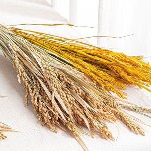 자연 벼 이삭 한 묶음 내추럴 옐로우