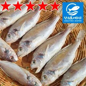 국산 반건조 백조기 1kg 군산항