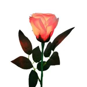 (KC인증) 제이엘 수업용불빛장미 *딜라이트1개 포함* OEM직제조 장미 마술*케이스포장