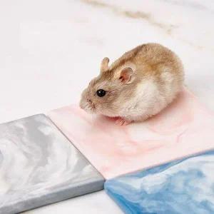 [골드스마일]햄스터 쿨매트 뜰자리 도자기 여름