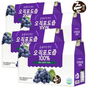 포도즙 4박스 120포