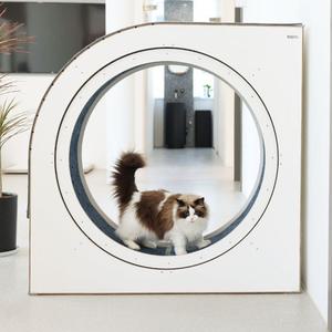 고양이캣휠 캣휠 베어링 무소음 펫휠 쳇바퀴 운동기구 고양이휠