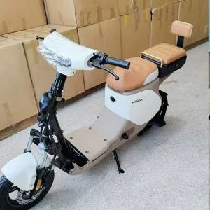 커브 E 호환 스크린 등받이 안장 동승자 시트 리어 튜닝시트