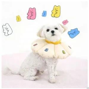 반려견 젤리곰 넥카라 L 예쁜 목보호대 수술 피부긁기 애견목보호대