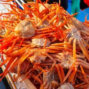 [일품대게]구룡포 연지 홍게 A급 3kg (9-12마리)