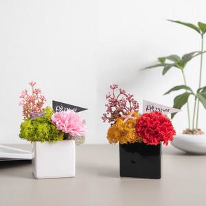 비누 카네이션 조화 화분 아트set 13cm 2컬러 꽃 어버이날 스승의날 테이블 장식 감사 선물 행사 소품