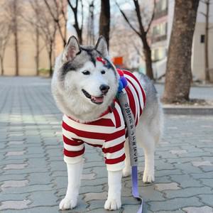 [국산] 펫피투개더 단가라 줄무늬 골지 기본티 (중대형견) //레드/블랙