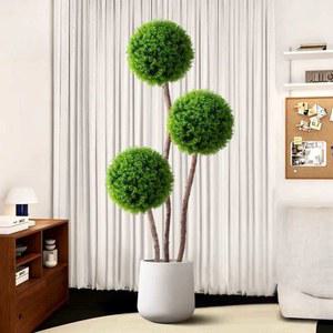 대형조화나무 1 7m 유칼립투스 바나나 조경 2m 그린 유칼리나무 5m 나무 플랜트