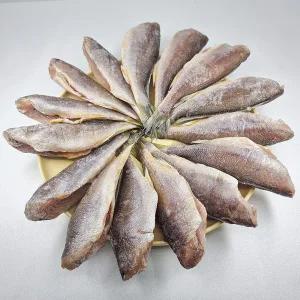 [오늘신선] 남도의 맛 국내산 참조기 두절조기 500g(18-20미 내외)