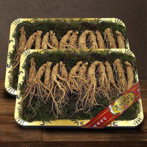 갤러리아 [풍기인삼] 5년근 수삼 1채 750g (10-15뿌리 등바구니) x 2박스