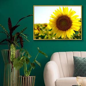 [RGM76830]3 해바라기사진 A2 골드알루미늄 풍수그림