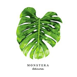 [RG5O03R1]DIY명화그리기 페인팅 보테니컬 몬스테라1 색칠