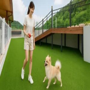 [경기/가평] 가평 네이처펜션 (애견/커플/가족/개별바베큐/주차장/흡연구역(지정장소))