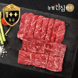 갤러리아 [농협안심한우] 1++등급  한우 모둠구이 한판 400g (보섭+설깃)