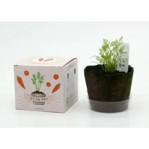 팜팜농장 당근 엄마표미술 홈스쿨링 만들기 집콕만들기 아동미술만들기