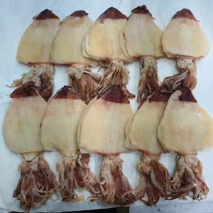 진성수산 최상급 부드러운 특대 한치 반건조 건한치 마른 건어물 맥주안주 업소용 (25마리)