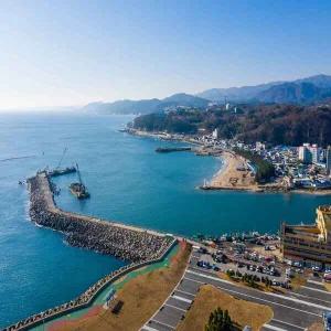 [1박2일/버스] 미리받는 새해기운! 동해선 영덕&울진