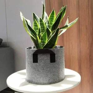 [골드스마일]부직포 손잡이 화분 블랙 색상 과습 방지 다육식물