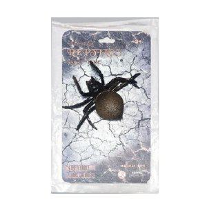 1개 거미 모형 피규어 자연학습 학습 완구 곤충 채집 관찰