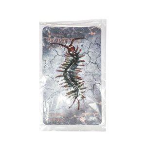 TPR 재질 자연학습용 곤충모형 1개 왕지네 피규어 완구