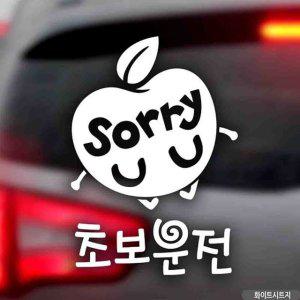 자동차스티커 사과sorry 초보운전 화이트시트지 차량