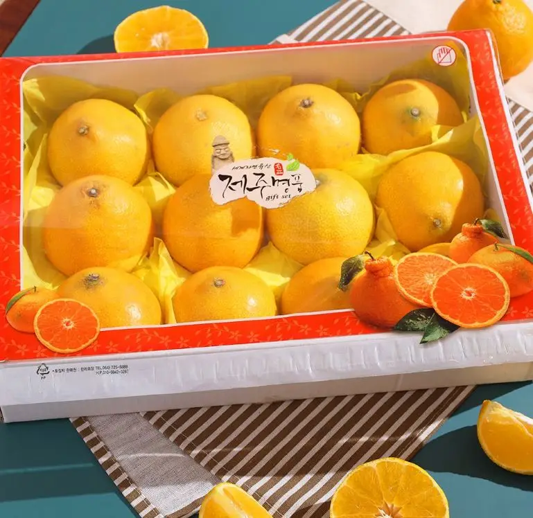 [알리특가] 제주 산지직송 황금향 가정용 선물용 벌크 2kg 3kg 5kg 과일 선물 추천 한라봉 천혜향 레드향 귤 택배 노지 감귤 노지귤