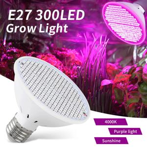 E27 전체 스펙트럼 LED 성장 전구 220V 48/80/300leds 실내 정원 수경 Led 성장 라이트 박스 텐트 식물 성장 램프