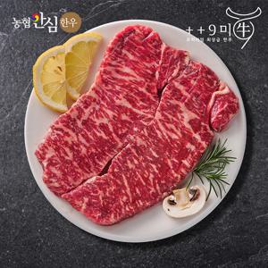 [구미우] 1++9등급 한우 채끝살 500g 구이용 냉장