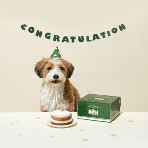 더리얼 당근 케이크 300g/강아지간식/강아지케이크