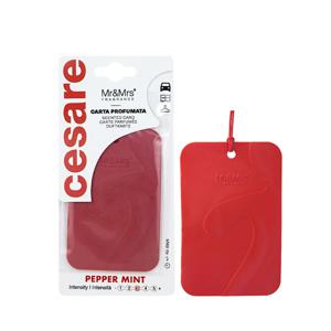 체사레 카드형 멀티 방향제 9종/향 선택