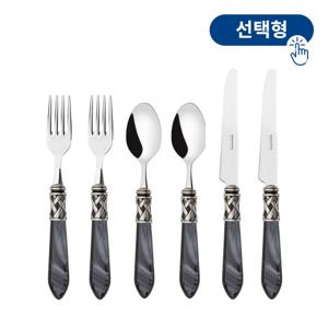 [롯데백화점][까사알라딘 양식기 2인조 6P세트(컬러선택형)