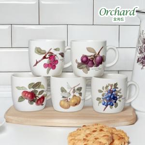 오차드 머그 5p세트