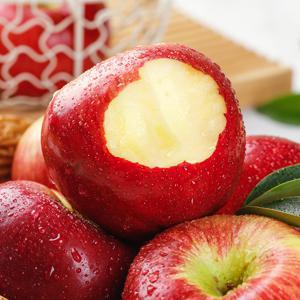 25년 첫출하! 더 아삭하고 더 달달한 햇 감홍사과 2kg 4kg