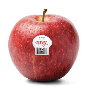 프리미엄 명품 사과 예산 엔비사과 못난이 사과 실속형 중과 1.5kg