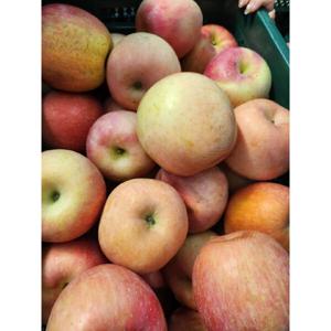 사과햇부사 25년햇부사 혼합과 미색 흠 멍(박스포함5kg이상)