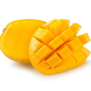 초록들농산) 노란망고 5kg 18-20과 옵션선택