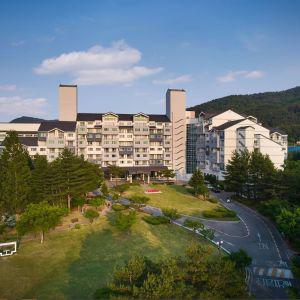 |숙박세일|금호 설악 리조트(강원 리조트/속초/고성)